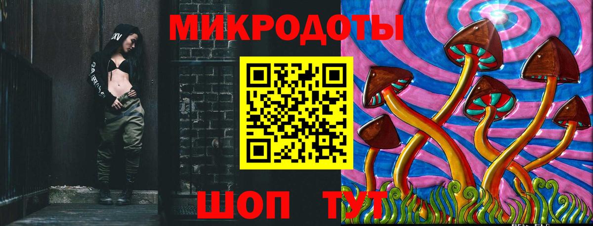Галлюциногенные грибы Psilocybe Красноуфимск
